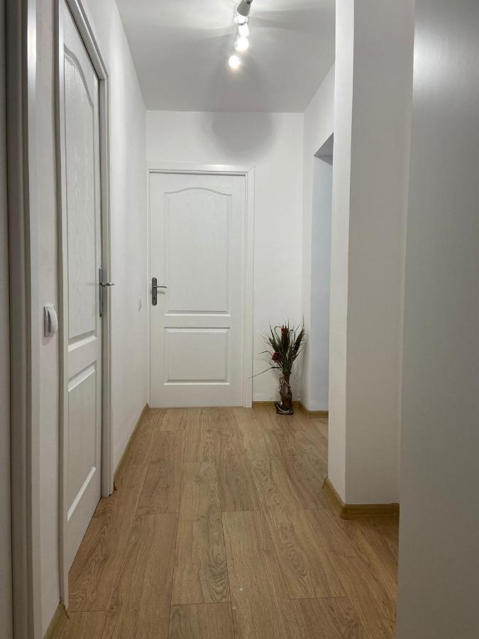 Daniela'S Apartaments 锡吉什瓦拉 外观 照片