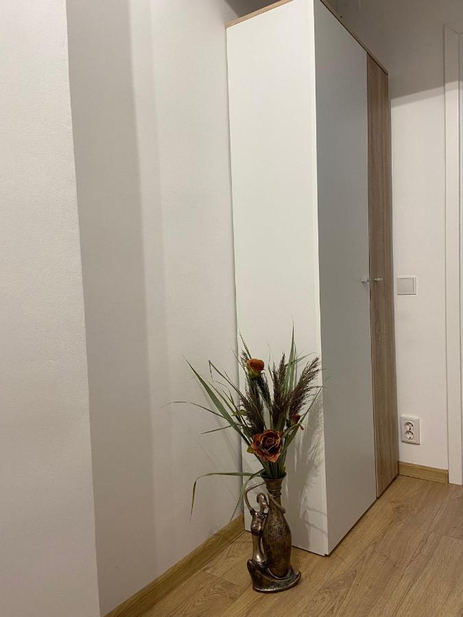 Daniela'S Apartaments 锡吉什瓦拉 外观 照片