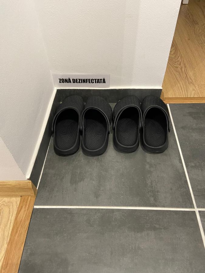 Daniela'S Apartaments 锡吉什瓦拉 外观 照片
